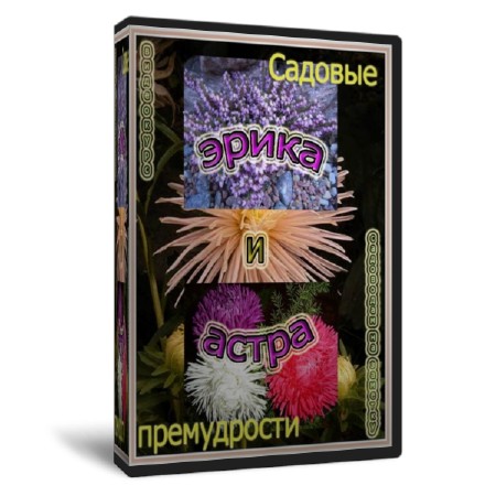 ���������  ����� � �����   (2011)  SATRip