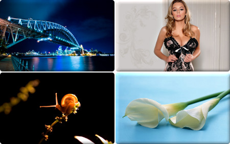 ���� - Mega Pack 309