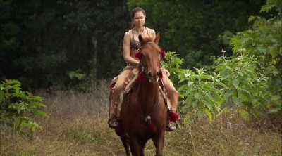 ������� � �������� / Sinbad and the Minotaur (2011/1400) HDRip