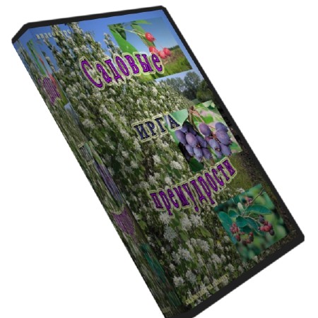  ����    (2011)  SATRip