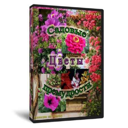  ��������� ����� (2011)  SATRip