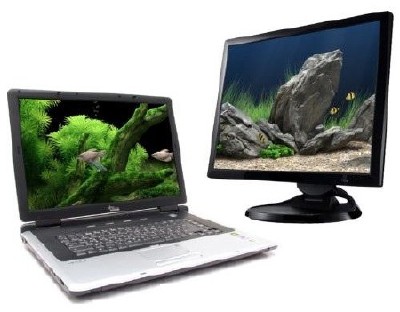 Dream Aquarium Screensaver 1.2415 [ + ]