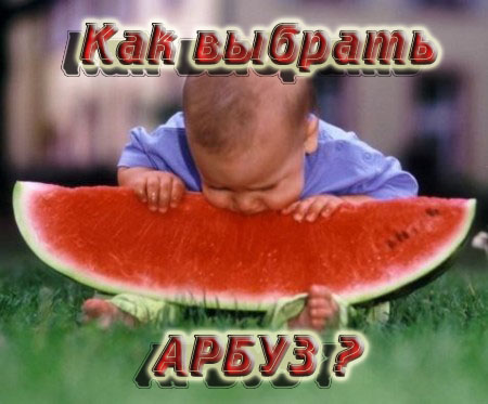 ��� ������� ����� - ��������� 