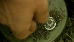������� ���� (2006 / HDRip)