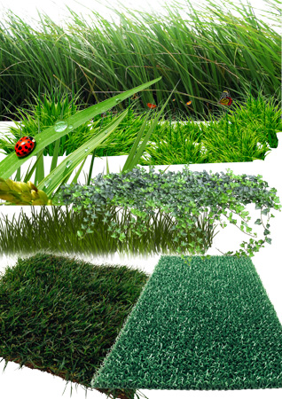 PSD ��������� - ������ �����