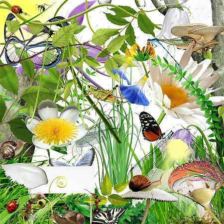 �����-����� - ��� ����������� �������