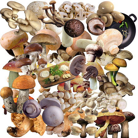 ����� �� ���������� ����