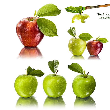 ��������� �������� - �������