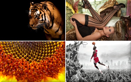 Gorgeous Wallpapers -     - Mega Pack 329