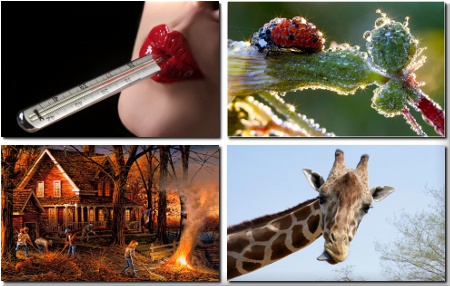 Gorgeous Wallpapers for desktop -       331