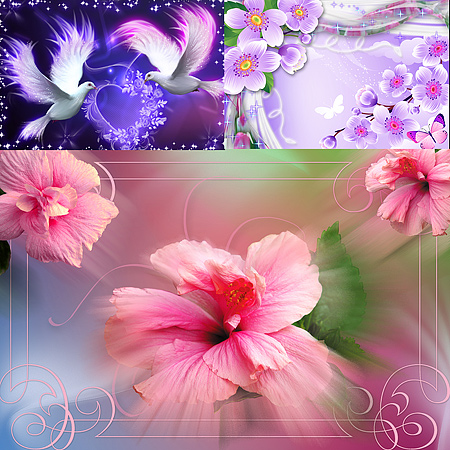 ������������� PSD �����