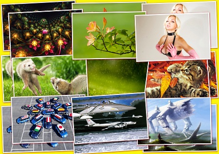 ���� ��� �������� ����� ��������� ������� (����� 5)