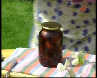  ��������� ������ ������ (2011)  SATRip