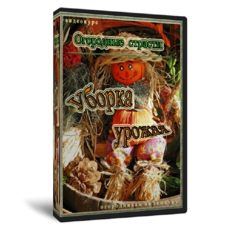  ��������� ������ ������ (2011)  SATRip