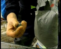  ������� �������: ��� � ������ (2011)  SATRip