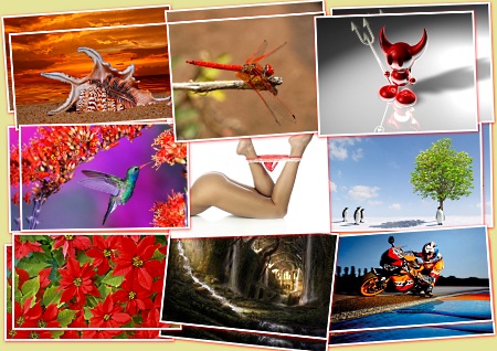 ���� � �������� - �������� �������� (������ 5)