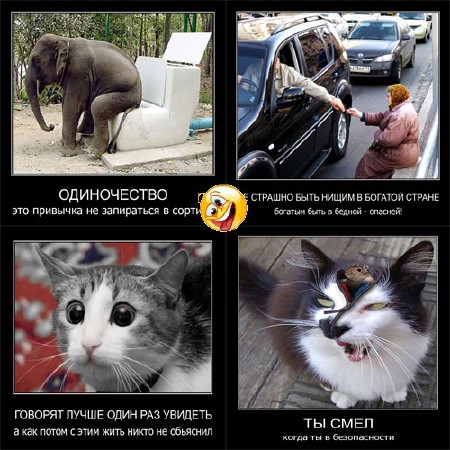 ���������� ������  �������� ������������� ����� 6 (2011)