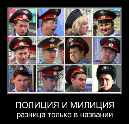 ���������� ������  �������� ������������� ����� 7 (2011)