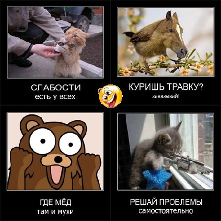 ���������� ������  �������� ������������� ����� 7 (2011)