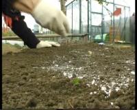  ��������� ��������� �������: �������� - ����� (2011)  SATRip