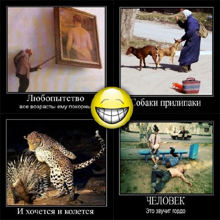 ���������� ������  �������� ������������� ����� 11 (2011)