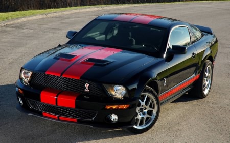 Wallpapers ������ ���� ��� �������� ����� (2011) � 231