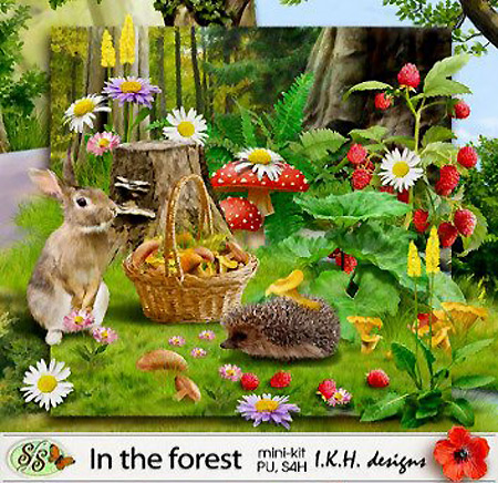 C����-����� - � ����