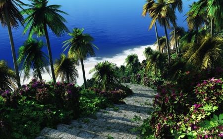 Wallpapers ������ ���� ��� �������� ����� (2011) � 232