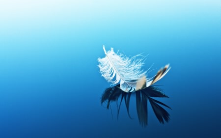 Wallpapers ������ ���� ��� �������� ����� (2011) � 233