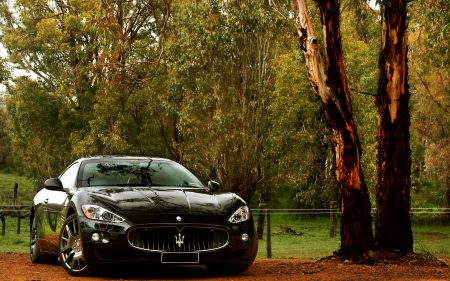 Wallpapers ������ ���� ��� �������� ����� (2011) � 236