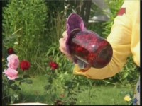  ��������� ������� �����������:������ � ������� (2011)  SATRip