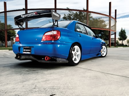 Wallpapers ������ ���� ��� �������� ����� (2011) � 238
