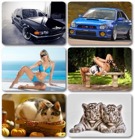 Wallpapers ������ ���� ��� �������� ����� (2011) � 153