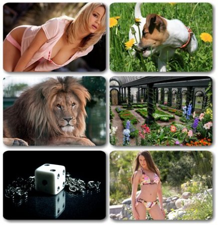 Wallpapers ������ ���� ��� �������� ����� (2011) � 163