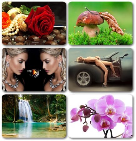 Wallpapers ������ ���� ��� �������� ����� (2011) � 174