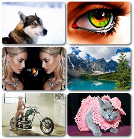 Wallpapers ������ ���� ��� �������� ����� (2011) � 175