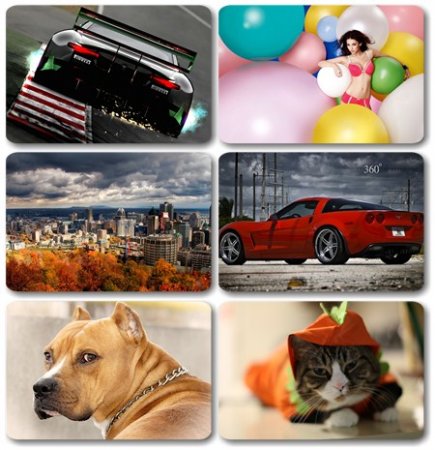 Wallpapers ������ ���� ��� �������� ����� (2011) � 178