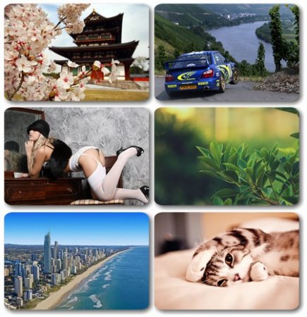 Wallpapers ������ ���� ��� �������� ����� (2011) � 180