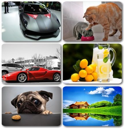 Wallpapers ������ ���� ��� �������� ����� (2011) � 181