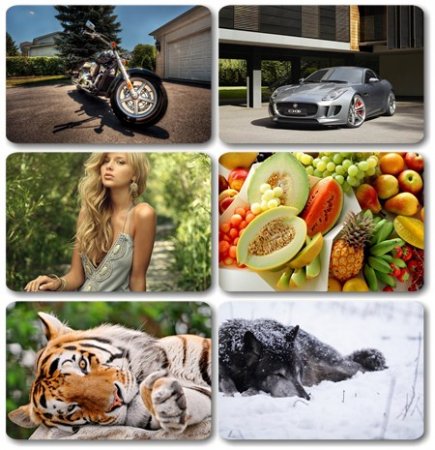 Wallpapers ������ ���� ��� �������� ����� (2011) � 183