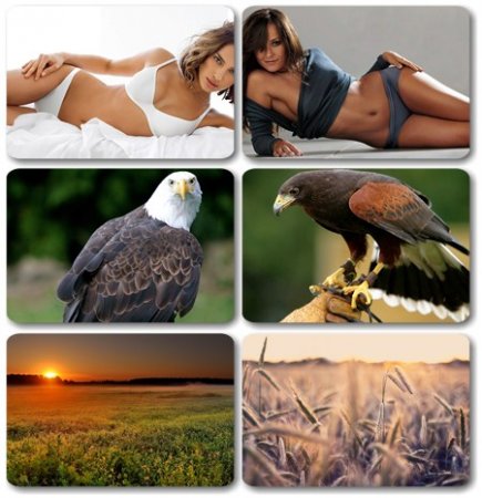 HQ Wallpapers ������ ���� ��� �������� ����� (2011) � 188