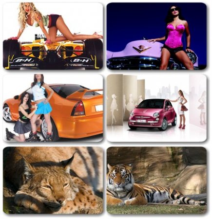 HQ Wallpapers ������ ���� ��� �������� ����� (2011) � 189