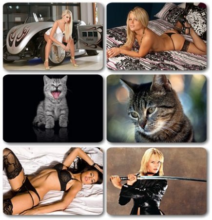 HQ Wallpapers ������ ���� ��� �������� ����� (2011) � 199