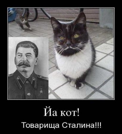 ���������� ������  �������� ������������� ����� 3 (2011)