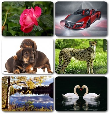 Wallpapers ������ ���� ��� �������� ����� (2011) � 237