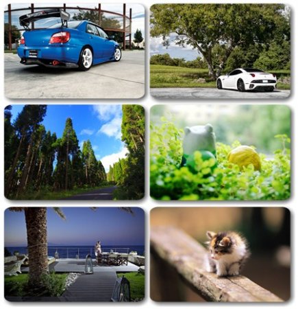 Wallpapers ������ ���� ��� �������� ����� (2011) � 238