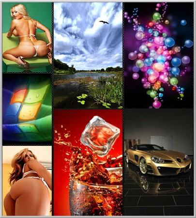 ���������� �������� (480x800)