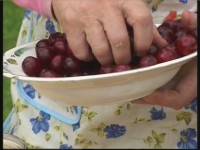  ������ �� ���� (2011)  SATRip