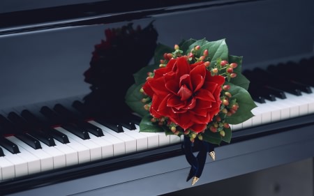 Wallpapers ������ ���� ��� �������� ����� (2011) � 251