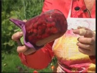  ��������� ���� �����: ������ �� ������ �� ���� (2011)  SATRip